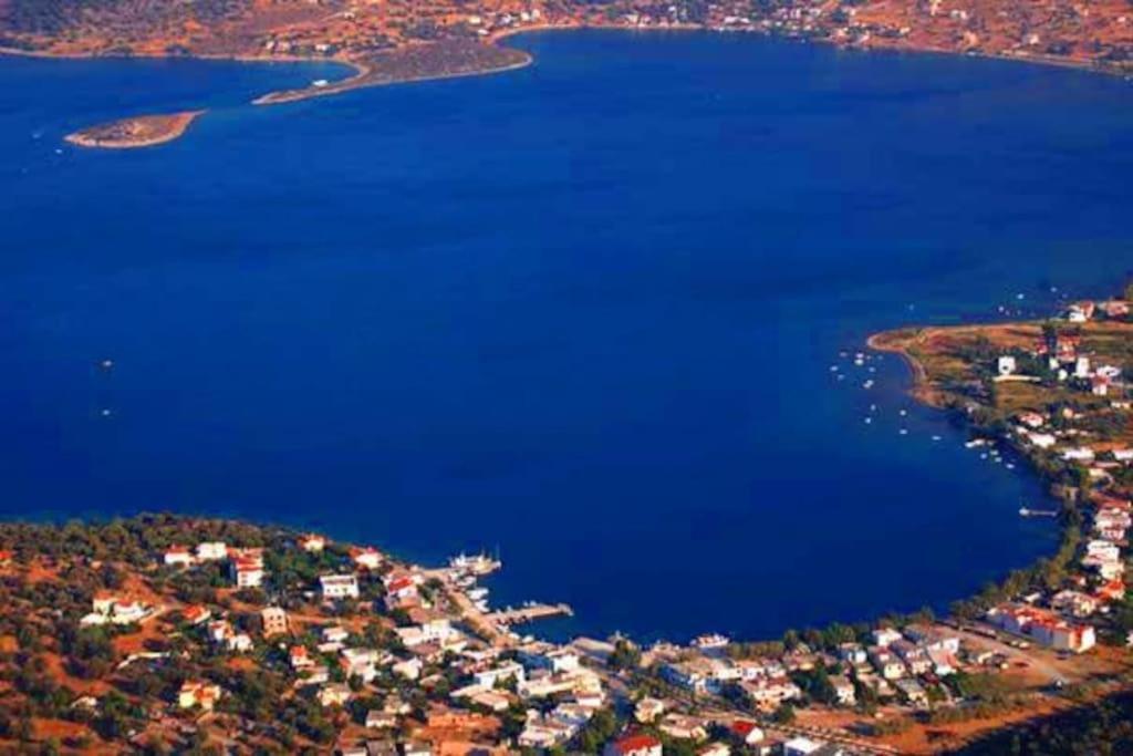 White Villa In Olive Trees And Seaview To Panagia Almiropótamos Exterior foto